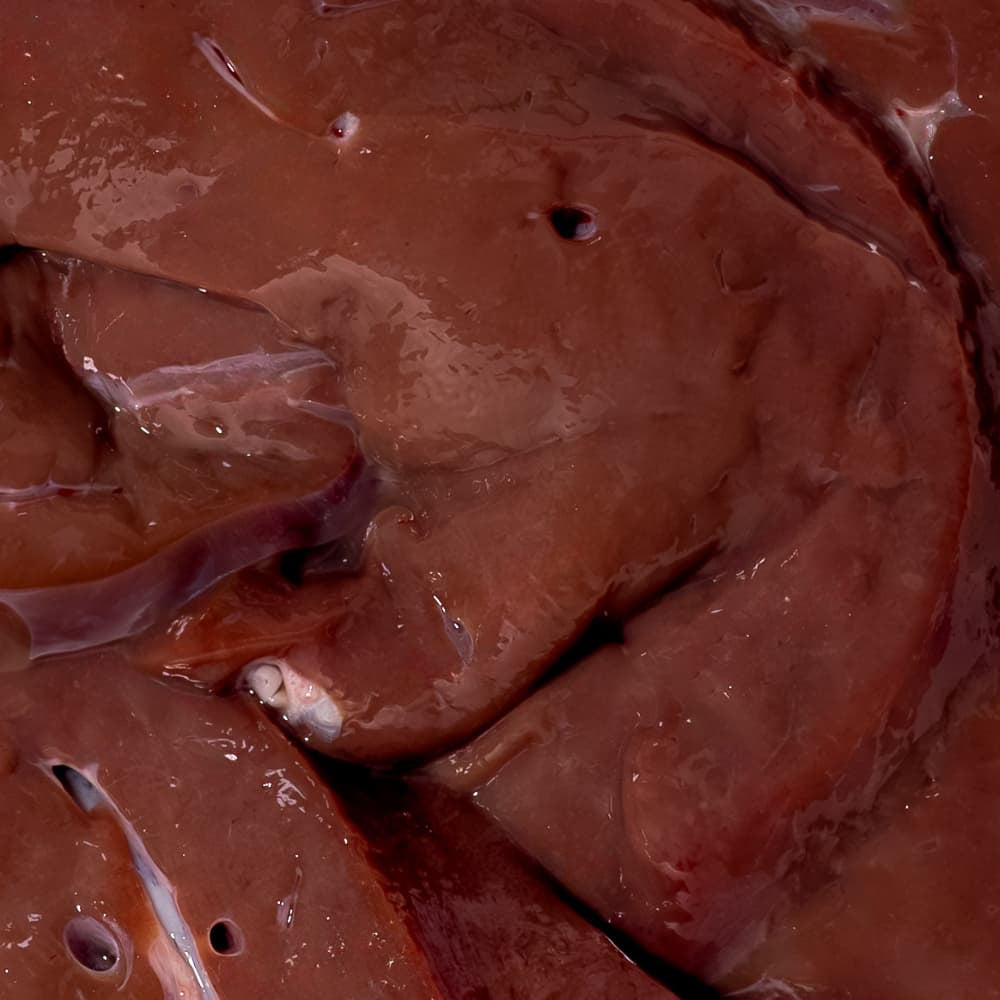 Fresh beef liver