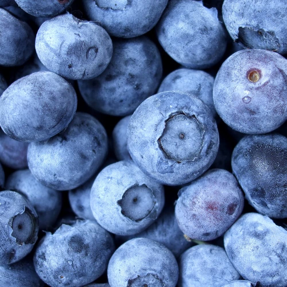 Fresh blueberries