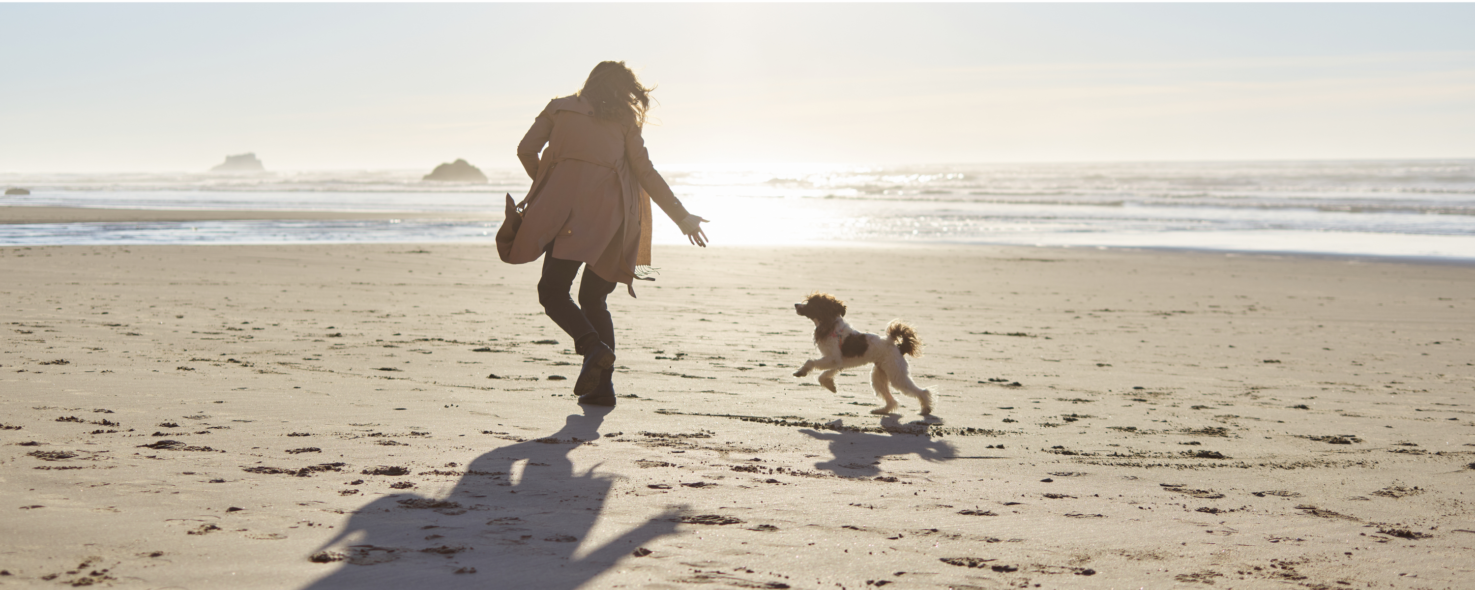 The Importance of Antioxidants in Your Dog's Diet: Natural Sources and Benefits