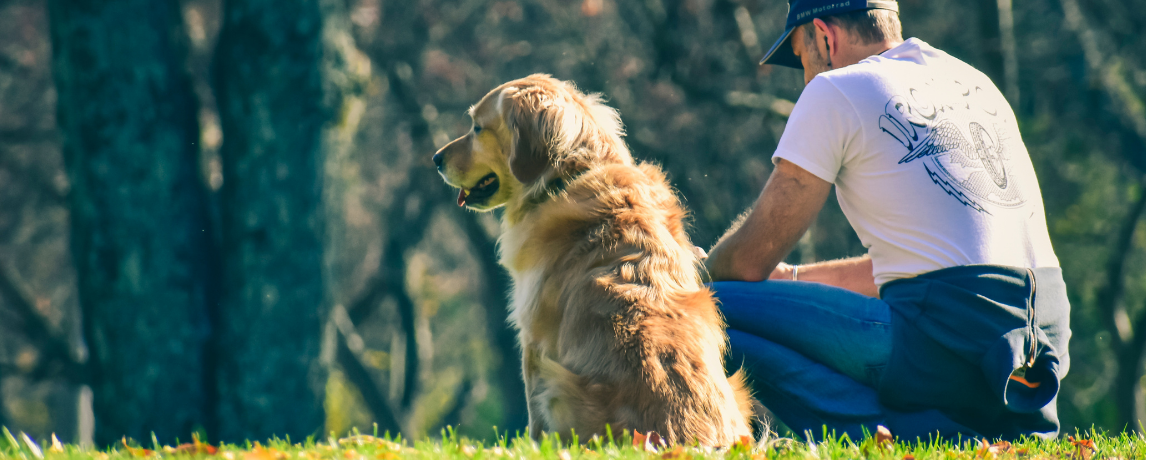 How to Train a Reliable Recall: The One Command That Could Save Your Dog's Life