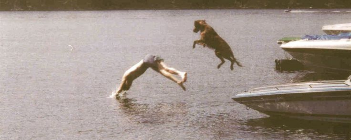 First-Time Dog Owner Checklist: 14 Things Every Pet Parent Needs