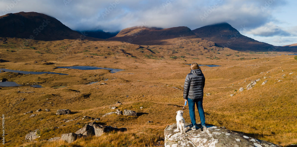 New Year, New Adventures: Top Dog-Friendly Walks to Kickstart 2025