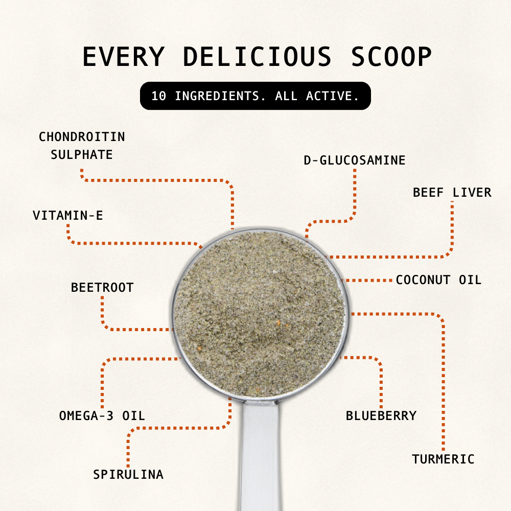 Spoon filled with a green powder with labeled ingredients on a white background