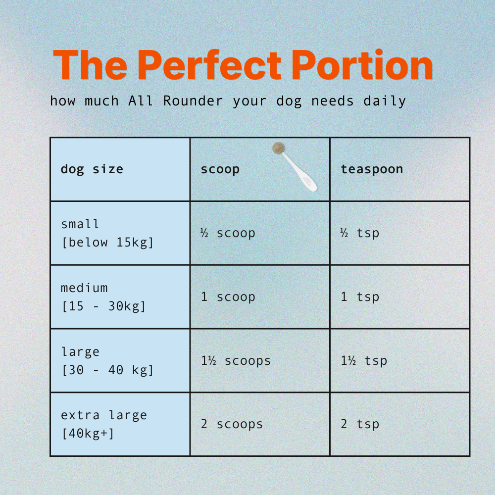Chart titled 'The Perfect Portion' showing how much food all rounder your dog needs daily based on size.