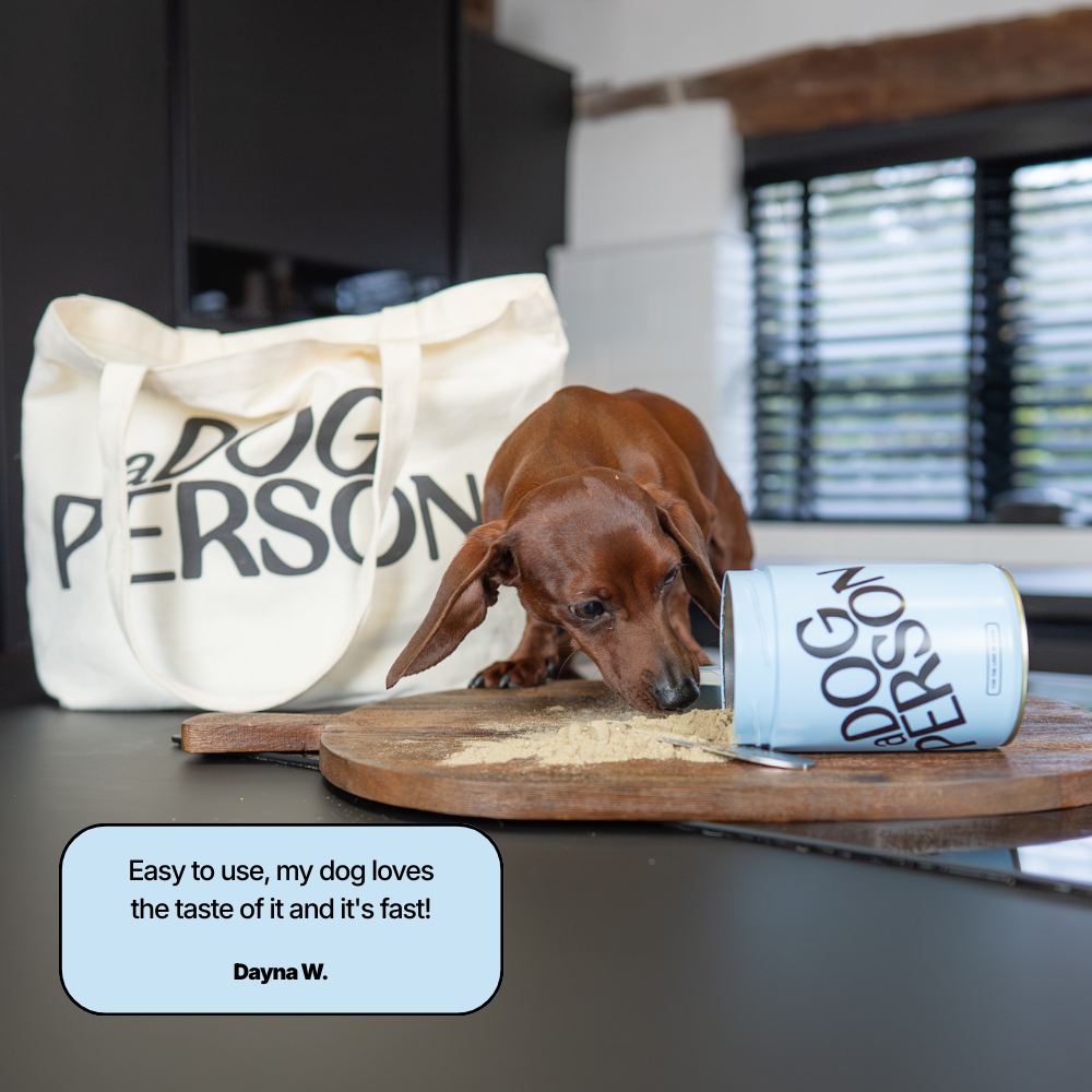 Dog eating the All Rounder from the No1 Tin with a tote bag in the background.