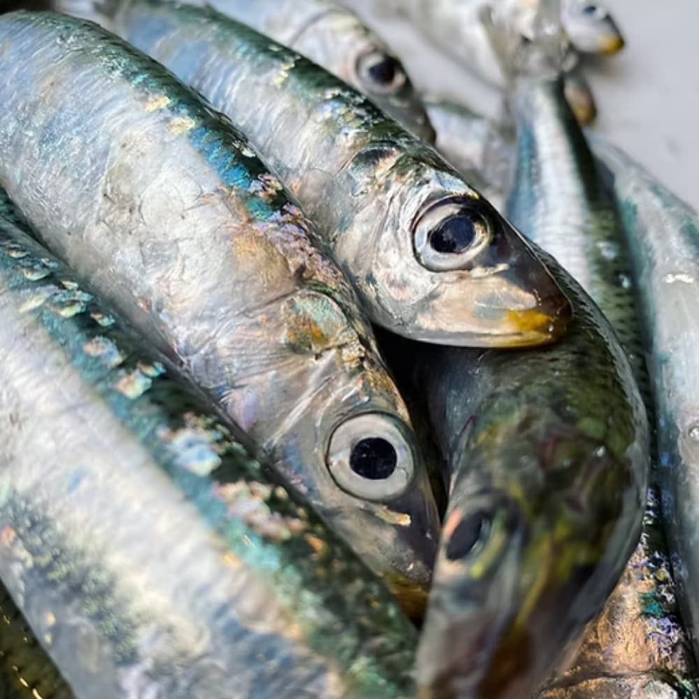 Fresh fish , source of omega-3